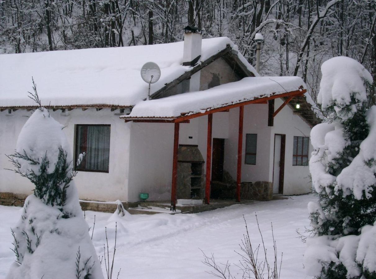 Holiday Home Tanevi Tryavna Exterior photo